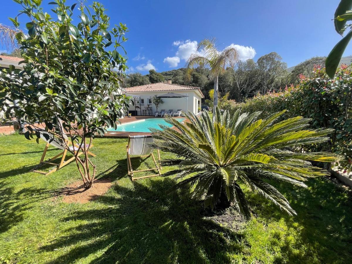 Magnifique Villa Recente Entre Mer Et Montagne Situee Entre Ajaccio Et Porticcio Cauro Eksteriør billede