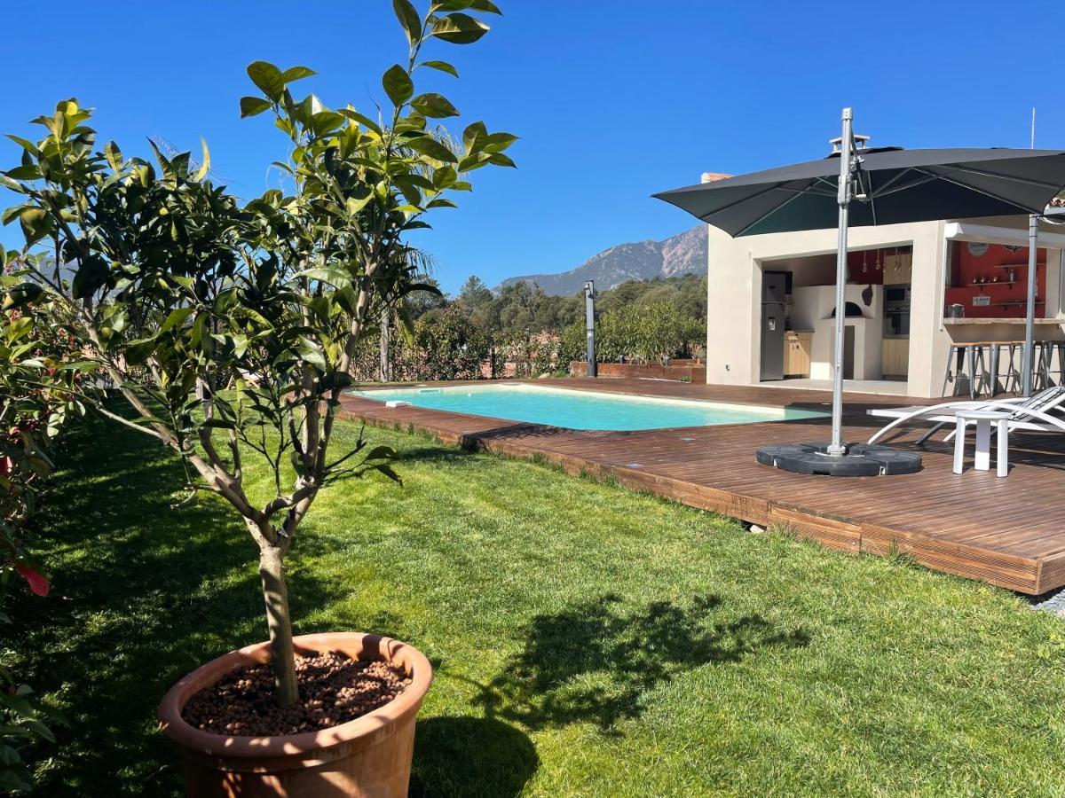 Magnifique Villa Recente Entre Mer Et Montagne Situee Entre Ajaccio Et Porticcio Cauro Eksteriør billede